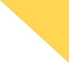 Orange Triangle shape for Title